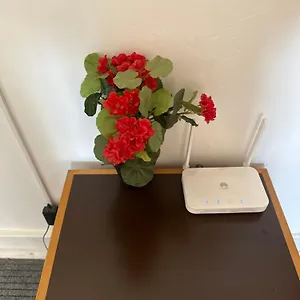 Rose View , Lisboa Portugal